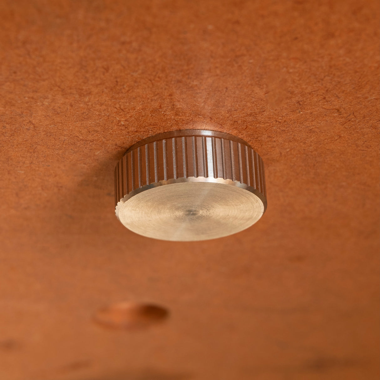 Stainless steel M8 locking knobs for bench dog system, durable and corrosion-resistant