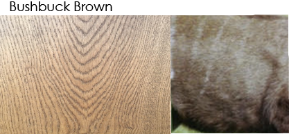 Whittle Waxes Evolution Bushbuck Brown Stain on Wood Surface