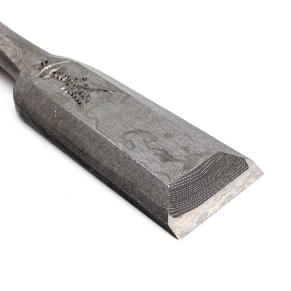 Ioroi Japanese Damascus Oire Nomi Chisel with Ebony Handle, showcasing forged blade and hardwood handle with tang mount