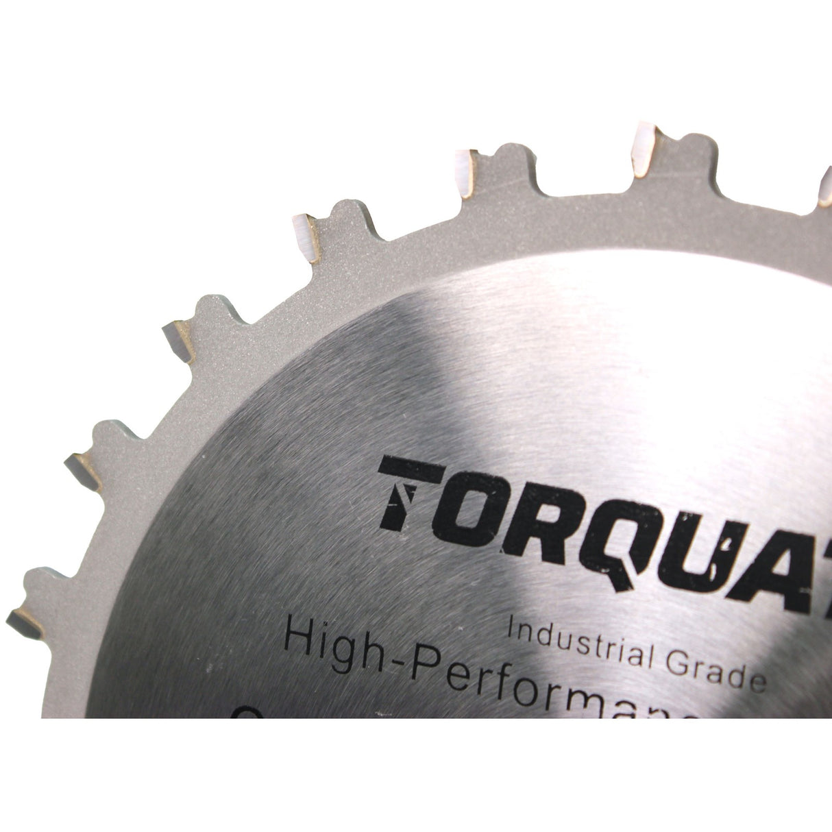 Torquata 8in Metric Dado Saw Blade Set with shims and chippers, designed for precise woodworking cuts