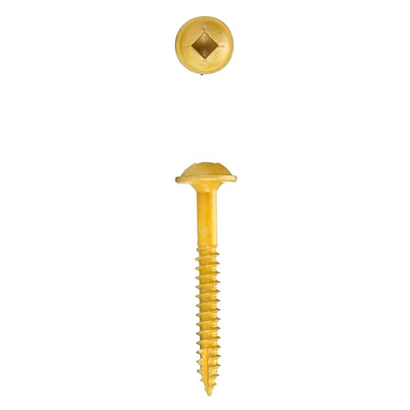 BORA Tool 8Gx31mm Coarse Pocket Wood Screws SQD Pack of 100 in colour-coated finish