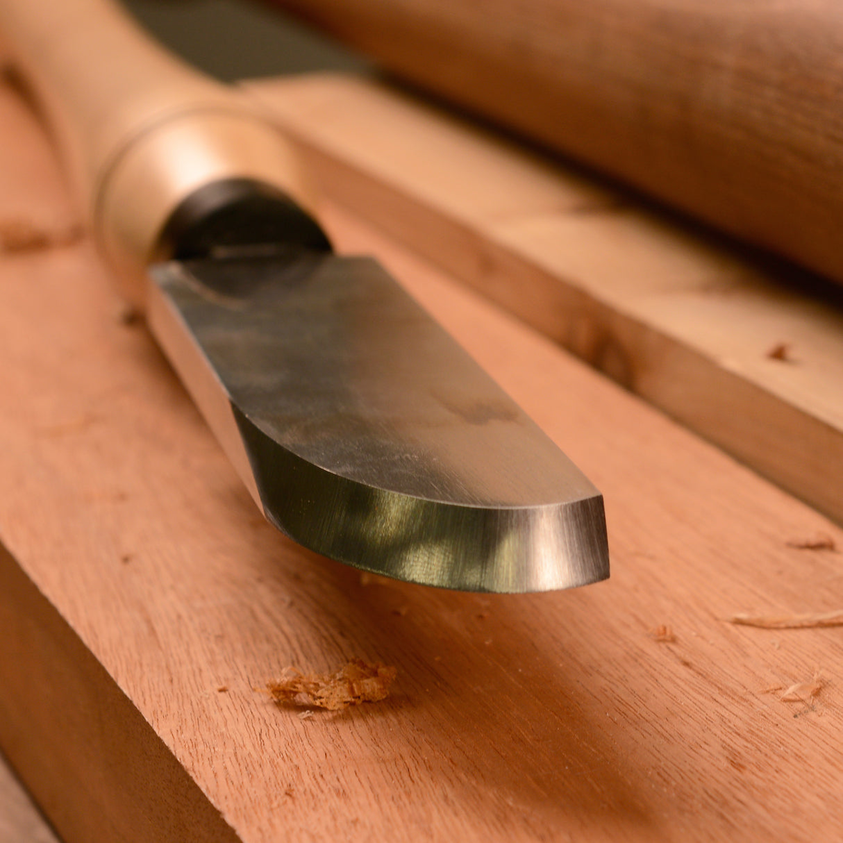 Torquata 38mm Bowl Finishing Scraper Chisel M2 HSS Woodturning Tool